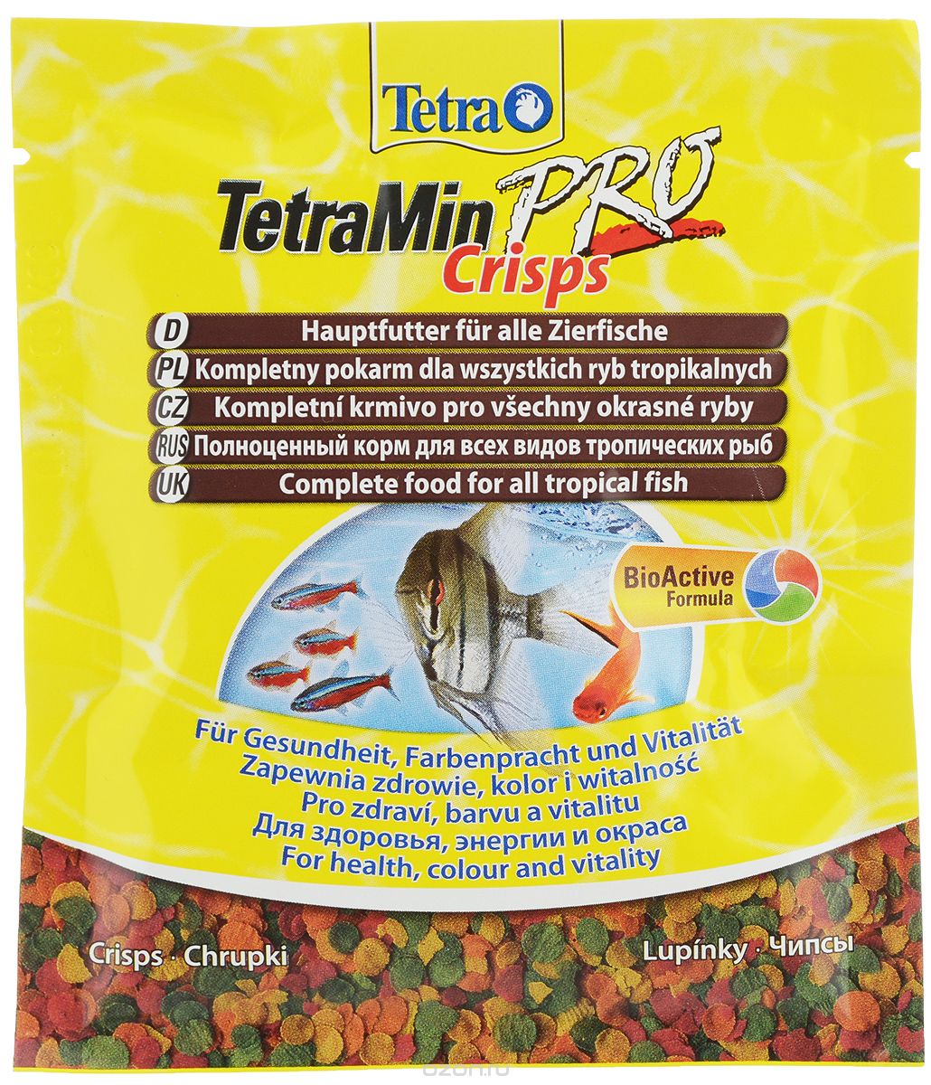  Tetra 