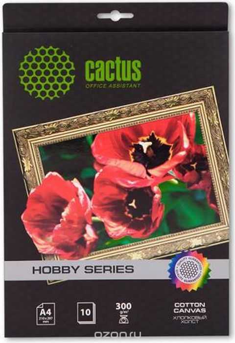 Cactus CS-A426010 A4/300/2     (10 )
