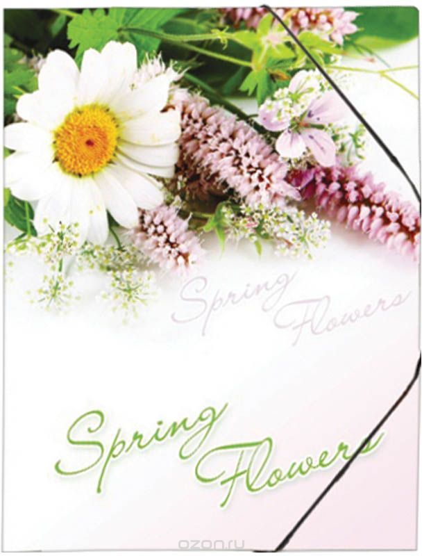Berlingo    Spring Flowers